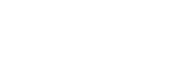 Techrise