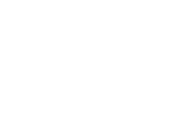 Universidad del Azuay